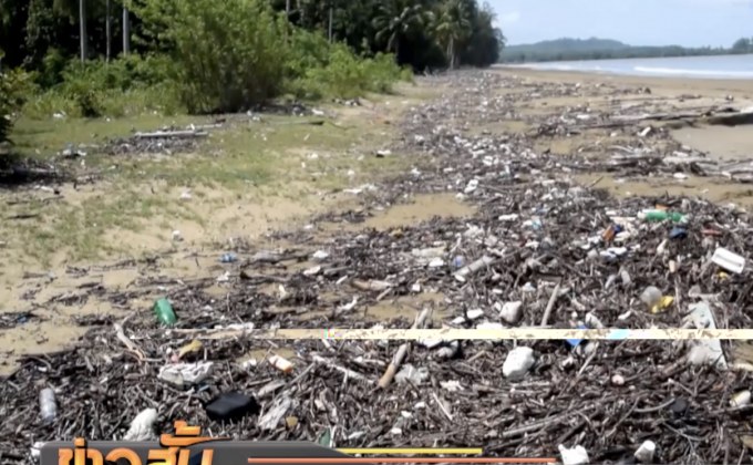 วอนให้ความสำคัญปัญหาขยะพลาสติก ลดการสูญเสียสัตว์ทะเล