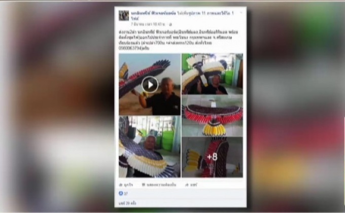 ไอเดียเจ๋ง! ใช้เครื่องบินนกอินทรีย์ฟิวเจอร์บอร์ด ไล่นก