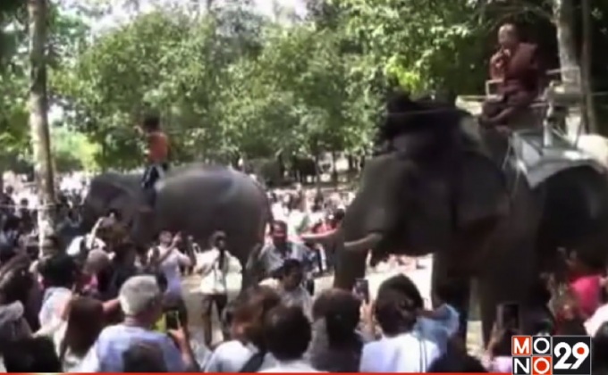 ชาวนคร จัดเลี้ยงบุฟเฟ่ต์ช้าง