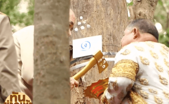 บวงสรวงตัดไม้จันทน์หอม สร้างพระโกศ