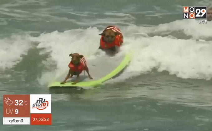 สหรัฐฯ จัดแข่งขันเซิร์ฟบอร์ดสุนัขชิงแชมป์โลก