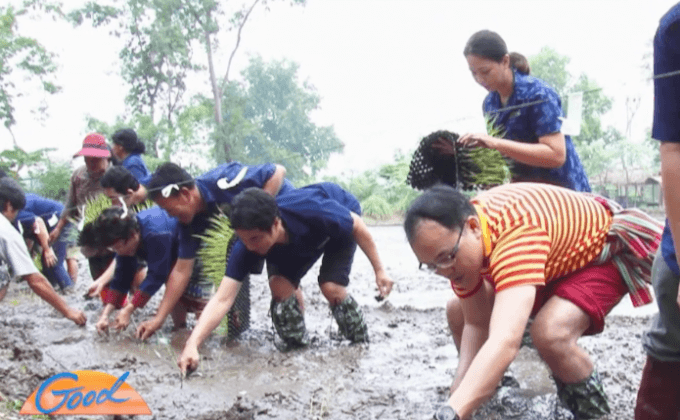 นวัตกรรมดำนาน้ำน้อย แก้ปัญหาภัยแล้ง