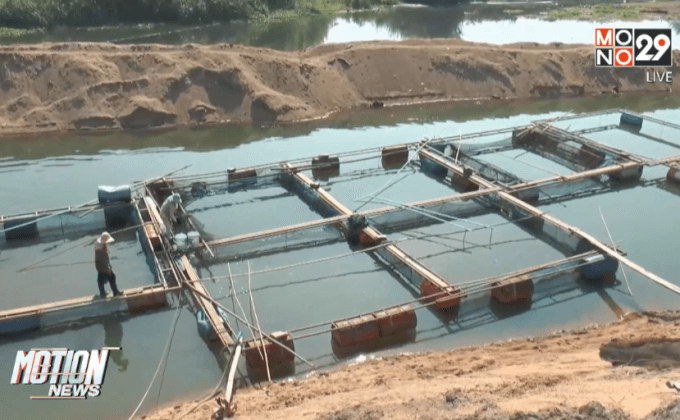 ขุดแม่น้ำปิงยื้อชีวิตปลากระชัง