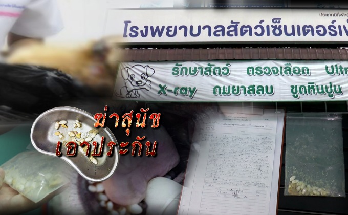 ฆ่าสุนัขเอาประกัน