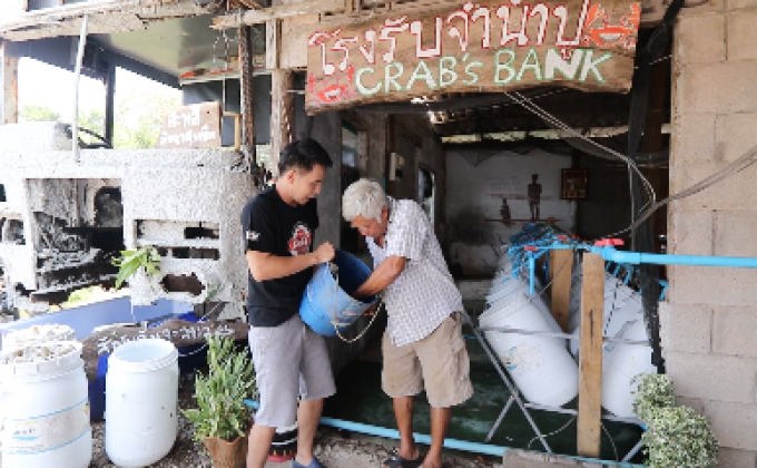 เจษฎาพาลุย : “โรงรับจำนำปู” เพิ่มประชากรปู เพิ่มรายได้ จ.ชุมพร