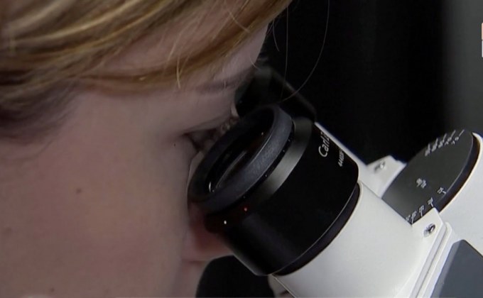 เขม่าดำส่งผลต่อสุขภาพทารกในครรภ์มารดา