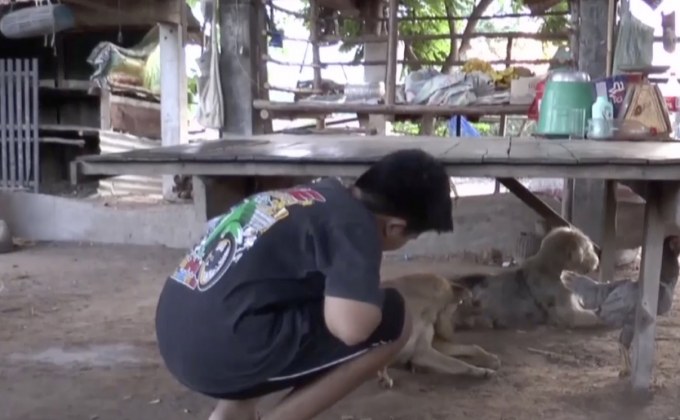 เยาวชนรับเลียนแบบคลิปที่นำยาให้สุนัขกินจนมีอาการสั่น