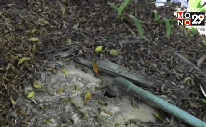 เร่งแก้ไขน้ำเสียเกาะพีพี