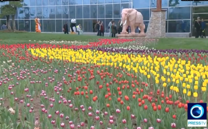 ​เทศกาลชมดอกทิวลิปในจีน