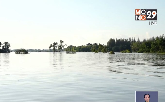 น้ำท่วมอุบลฯ กระทบผู้เลี้ยงปลากระชัง