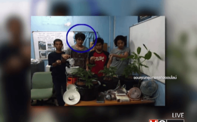 รวบตัว “เอิร์ท” อดีตนักร้อง AF9 ปลูกกัญชาในคอนโดฯ