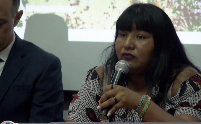 ชี้กลุ่มอาชญากรรมอยู่เบื้องหลังทำลายป่าอะเมซอน