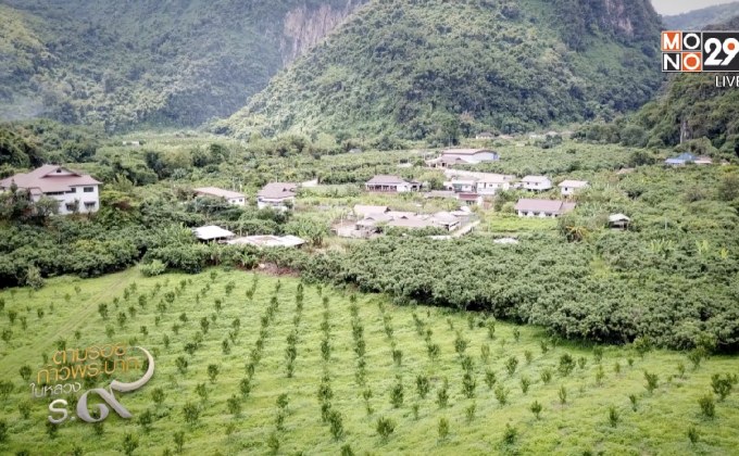 สารคดีเทิดพระเกียรติฯ ชุด ตามรอยก้าวพระบาท ตอนที่ 7 “ภาพจำจากพ่อ บนดอยผาหมี”