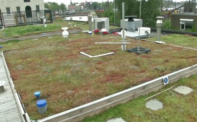 สวนลอยฟ้าช่วยลดความร้อนให้เมือง