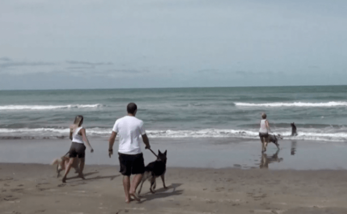 ชายหาดสำหรับสุนัขในอาร์เจนตินา
