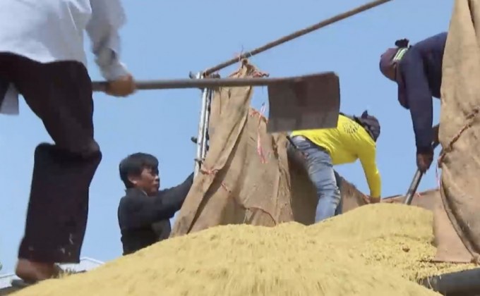 เสนอรัฐออกสินเชื่อชะลอการขายรักษาเสถียรภาพราคาข้าว