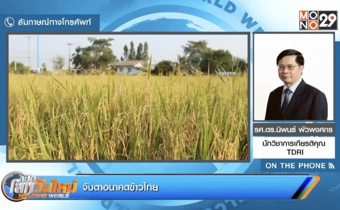 จับตาอนาคตข้าวไทย