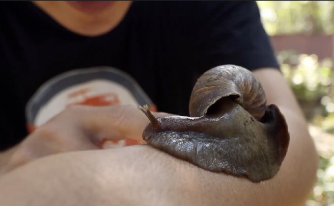 เจษฎาพาลุย : ชมฟาร์มหอยทาก สัตว์เศรษฐกิจใหม่ จ.นครนายก