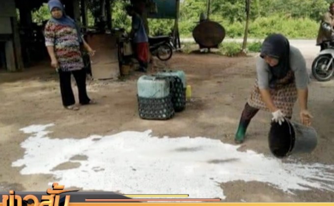 เกษตรกรเทน้ำยางประชดหลังขายไม่ได้ราคา