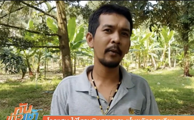 โจรแสบ ใช้โดรนบินดูลาดเลา ขโมยตัดลูกทุเรียน