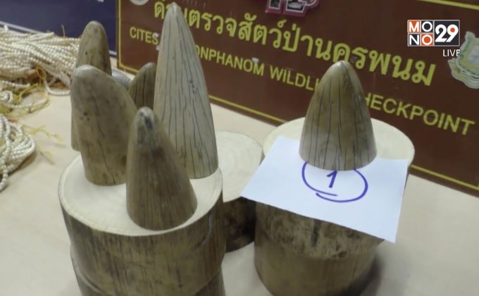 จับหญิงเวียดนามขนงาช้างเข้าประเทศ