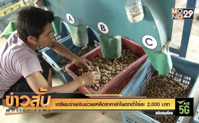 เตรียมจ่ายเงินช่วยเหลือราคาลำไยตกต่ำไร่ละ 2,000 บาท