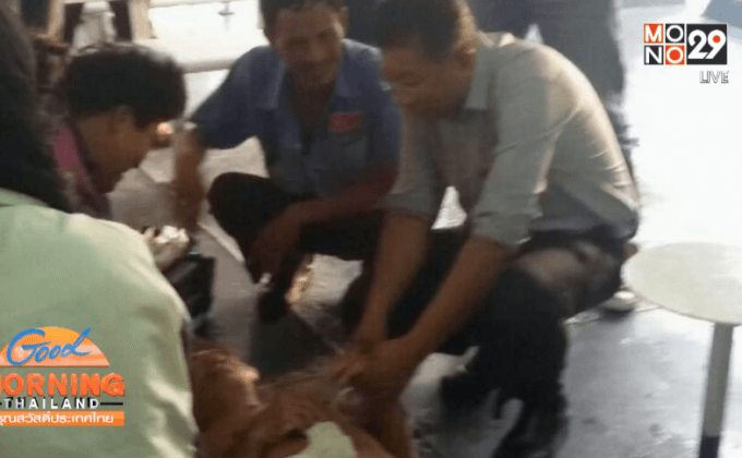 ชื่นชม ผอ.รพ.เกาะสมุย ช่วยคนแก่ลมชัก