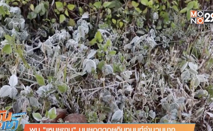 แหล่งท่องเที่ยว ภาคเหนือ-อีสาน คึกคัก