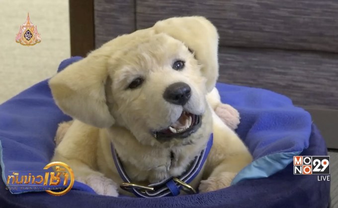 หุ่นยนต์น้องหมาบำบัดผู้ป่วยอัลไซเมอร์