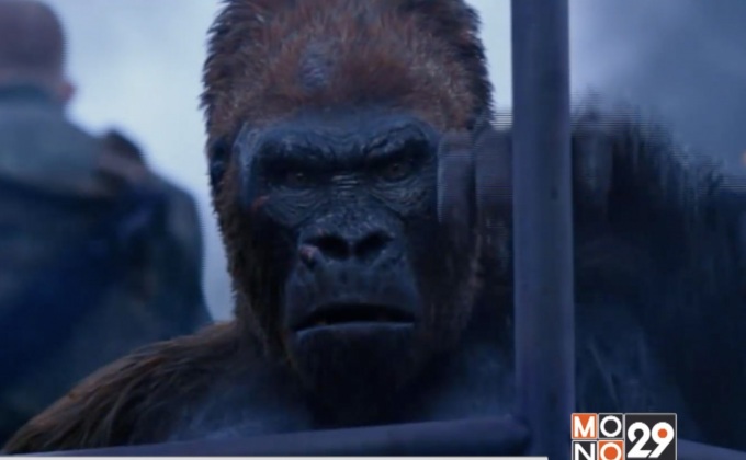 “War for the Planet of the Apes” พร้อมฉาย 13 ก.ค.นี้ ในโรงภาพยนตร์