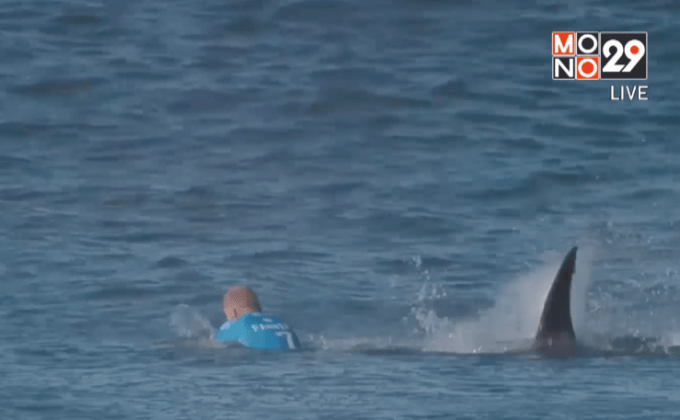 แชมป์โต้คลื่นถูกฉลามโจมตี