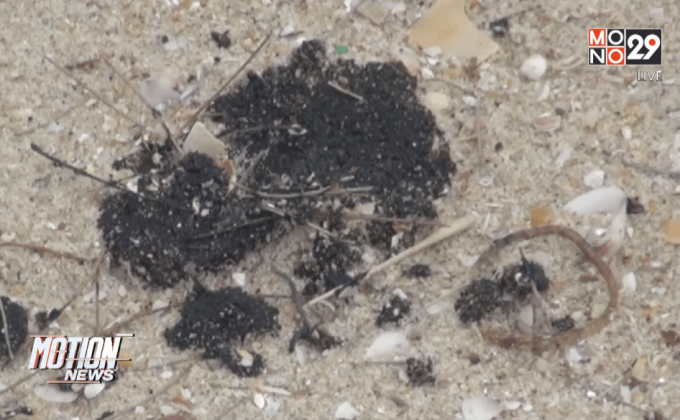 เรียกร้องตรวจสอบก้อนน้ำมัน จ.สงขลา