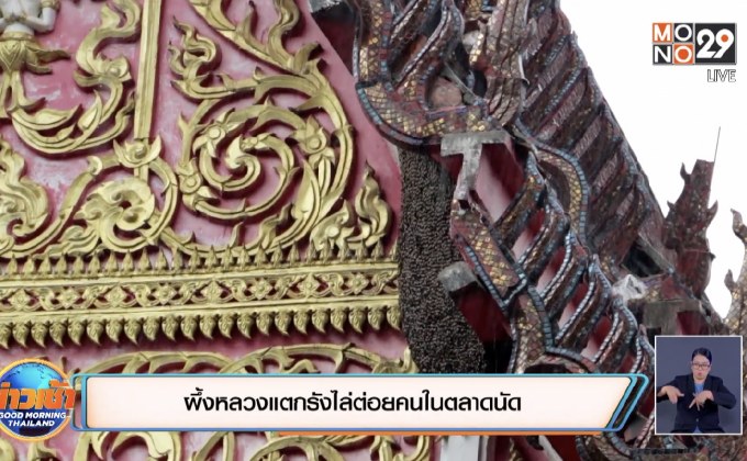 ผึ้งหลวงแตกรังไล่ต่อยคนในตลาดนัด