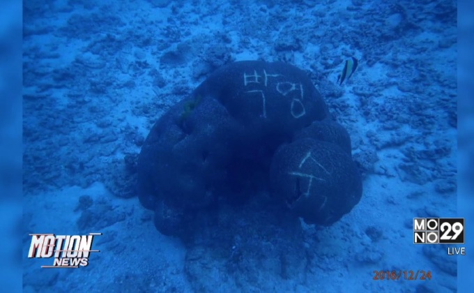 ร้องเรียนนักดำน้ำสลักชื่อบนปะการัง เกาะสิมิลัน