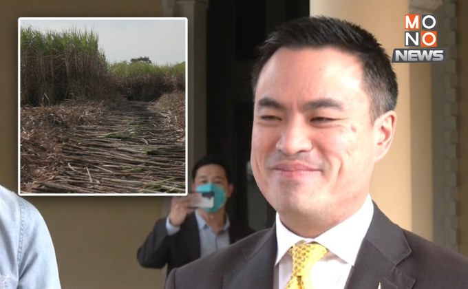 “เอกนัฏ” ชง “พลังงาน” รับซื้อ “อ้อย-ใบสด” ผลิตไฟฟ้า