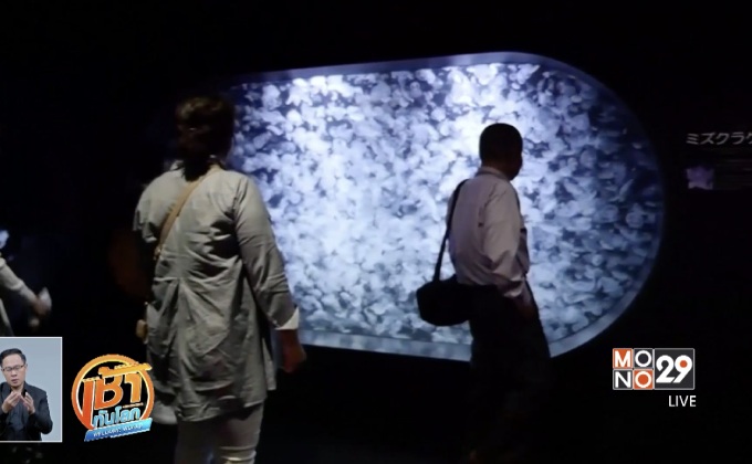 “กาโมะ อะควาเรียม” แหล่งรวมแมงกะพรุนใหญ่ที่สุดในโลก