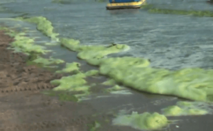 ทำไม….ทะเลเปลี่ยนสี?