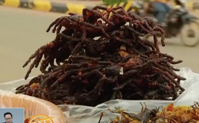 “แมงมุมทอด” เมนูฮิตรับหน้าฝนในกัมพูชา