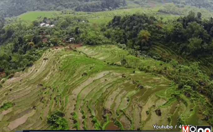 ภัยแล้งรุนแรงกระทบผลผลิตข้าวเวียดนาม