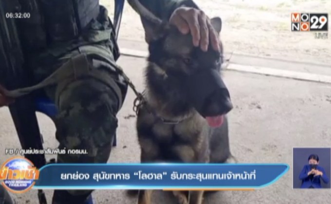 ยกย่อง สุนัขทหาร “โลฮาล” รับกระสุนแทนเจ้าหน้าที่