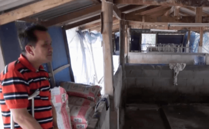 เตรียมย้ายสุนัขกัดหมูตายเกือบยกเล้า