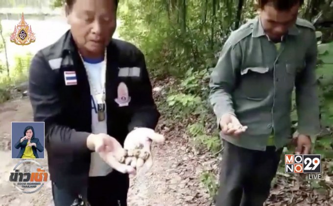 ฮือฮา พบกระดูกไดโนเสาร์พันธุ์คอยาว อายุนับล้านปี