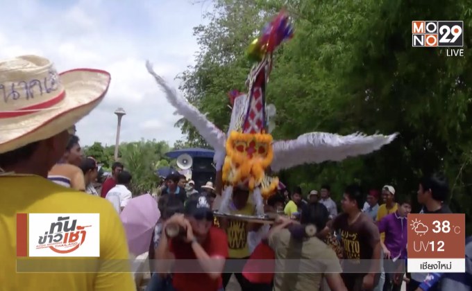 สนุกสุดมัน แห่หงส์บวชนาค จ.พิจิตร