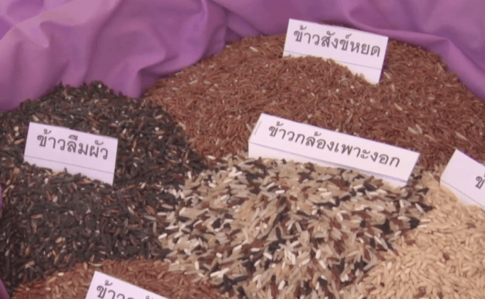 เตรียมจัดงานสีสันพรรณไม้ 8-14 ส.ค.นี้