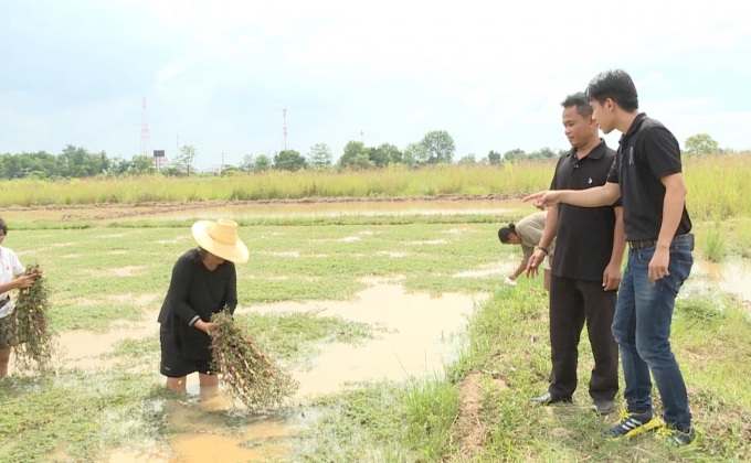 เจษฎาพาลุย : ผักกระเฉดชะลูดน้ำ