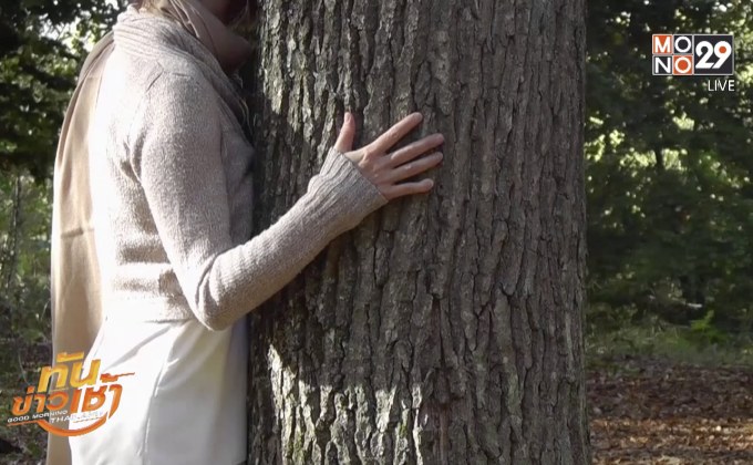 กิจกรรมป่าบำบัดในเบลเยียม