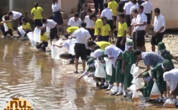 พลังมวลชน ปล่อยกุ้ง ถวายเป็นพระราชกุศล