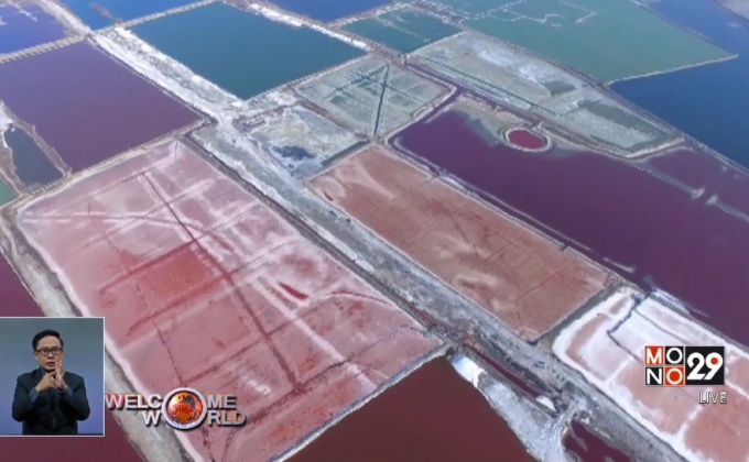 ปรากฎการณ์ดอกเกลือหลากสีในจีน