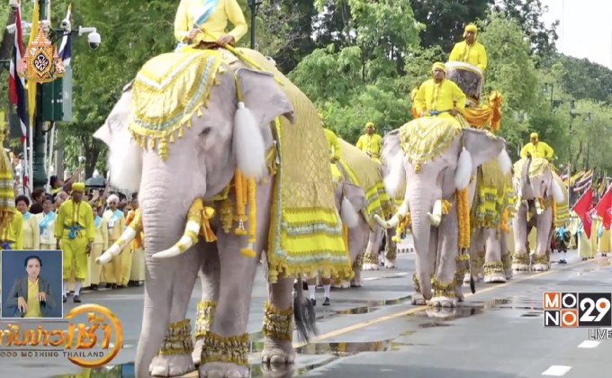 คชลีลาเทิดพระเกียรติ ในหลวงร.10