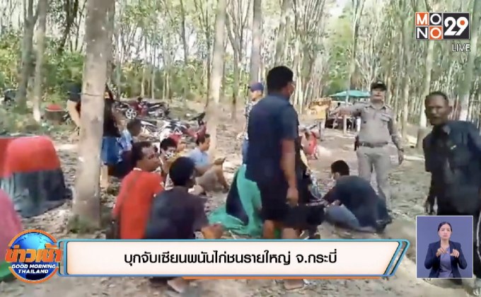 บุกจับเซียนพนันไก่ชนรายใหญ่ จ.กระบี่